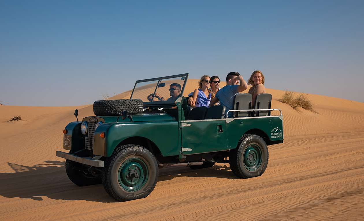 Desert Drive And Wildlife Spotting